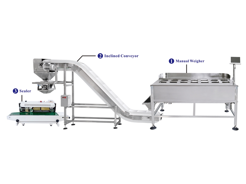Weighing and packaging system by 14 head manual weigher Weighing and packaging system by 14 head manual weigher