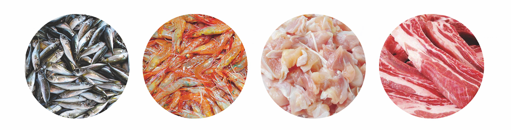 Peseuse manuelle Manual Weigher