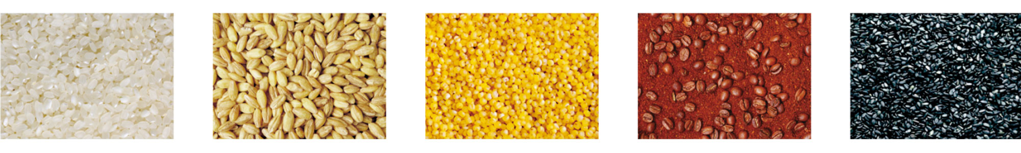 Système de pesage et d'emballage semi-automatique à deux sorties Two outlet semi auto weighing and packaging system