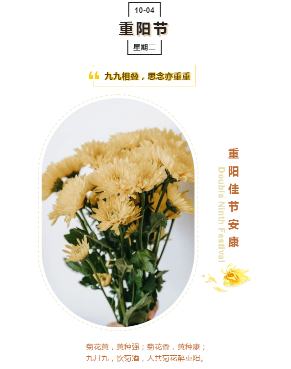 202302031675394783109569.png 重阳节01.png