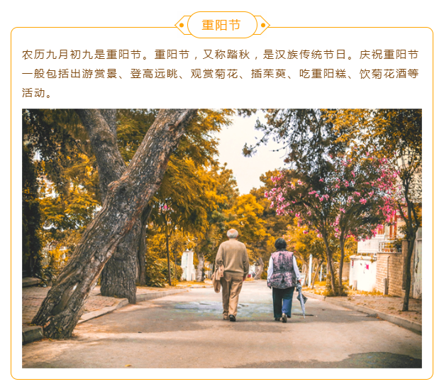 202302031675394801309366.png 重阳节02.png