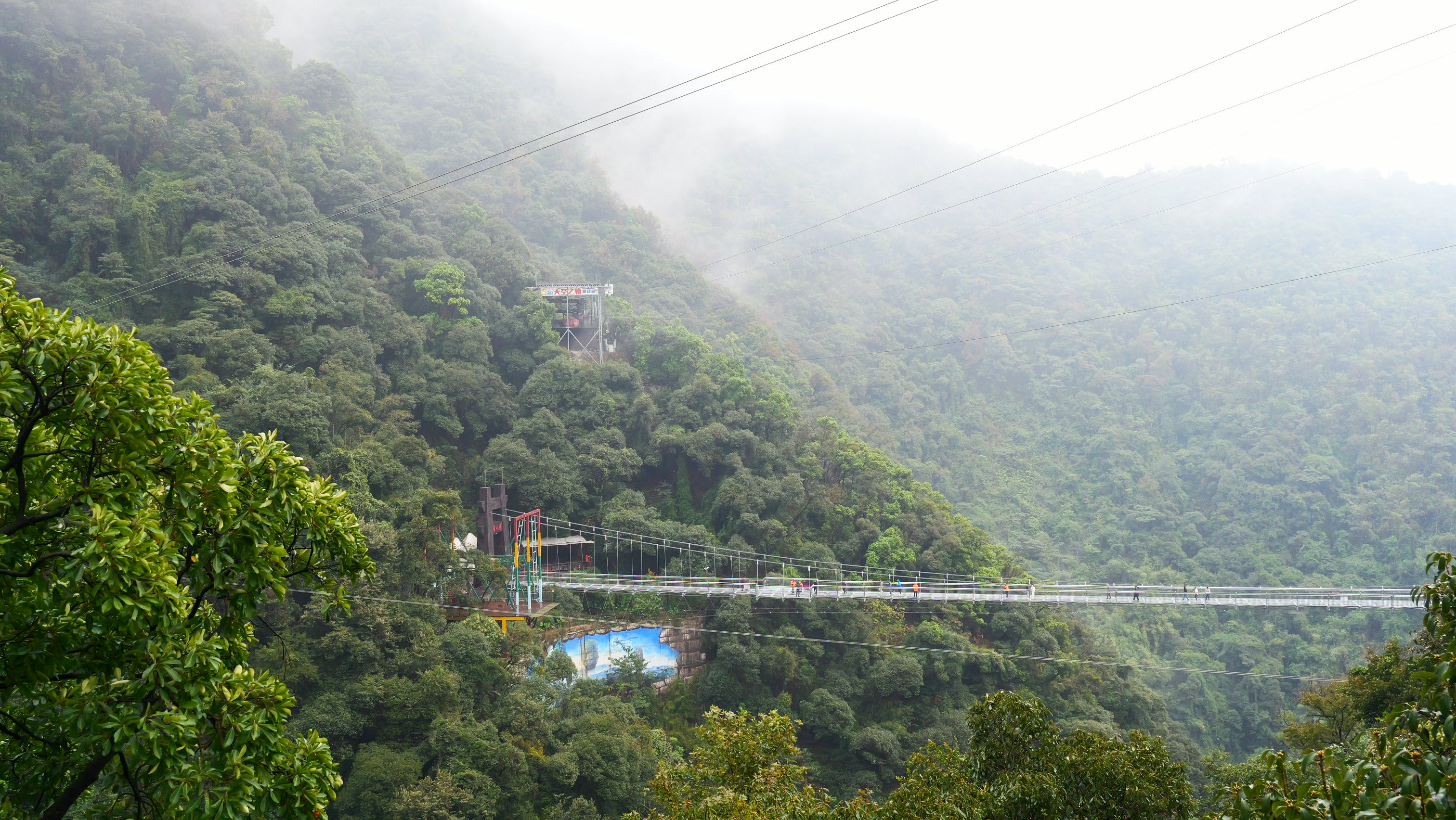 202312221703211140162866.jpg P1000291.JPG